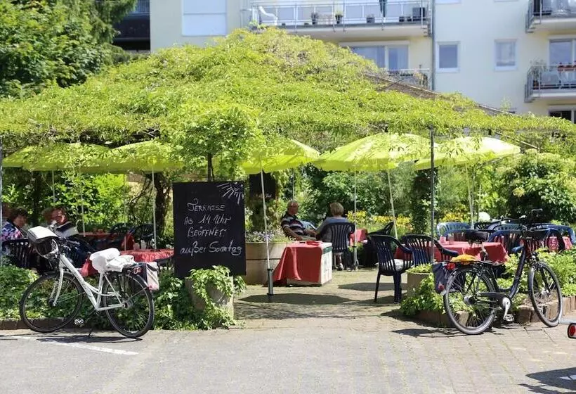 בית מלון כפרי Park