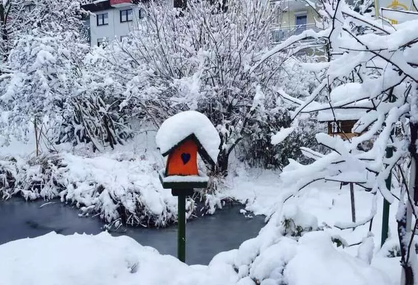 בית מלון כפרי Park