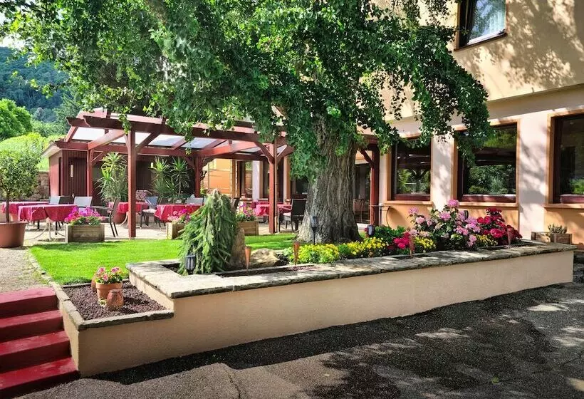 בית מלון כפרי Tenner