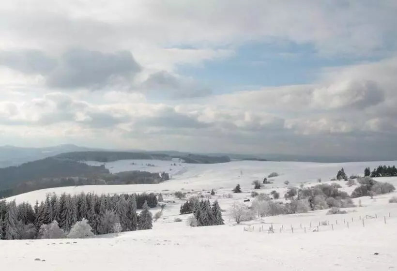 Rhönhotel Alte Mühle