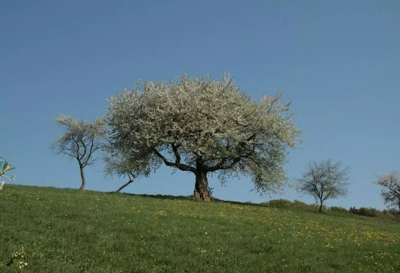 Rhönhotel Alte Mühle