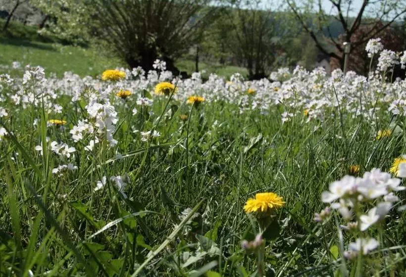 Rhönhotel Alte Mühle