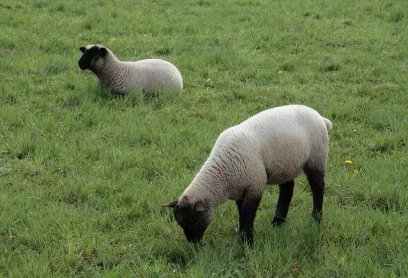 Rhönhotel Alte Mühle