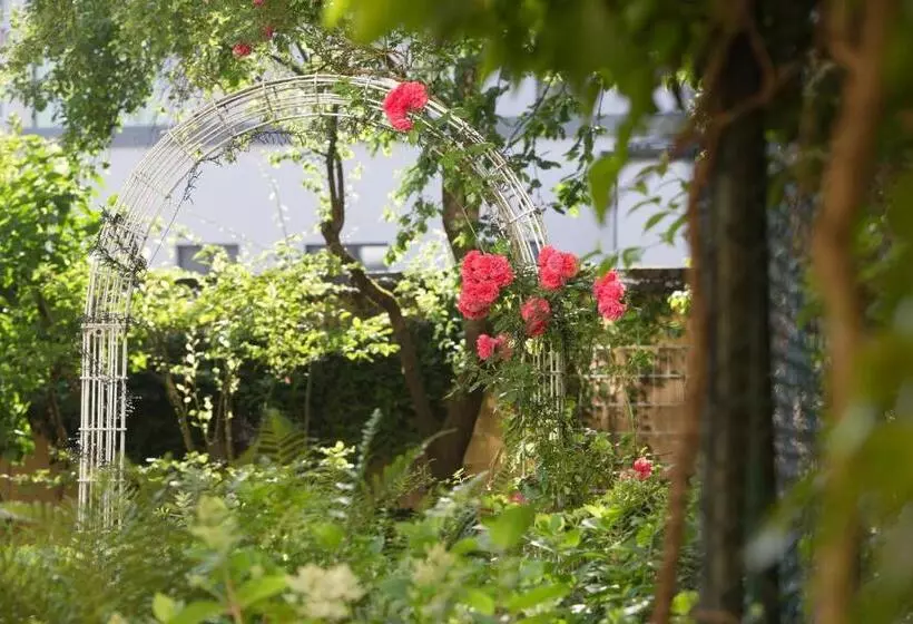 酒店 Aurbacher Hof Gmbh