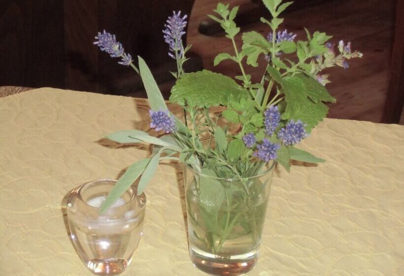 בית מלון כפרי Gasthof Zum Freigericht