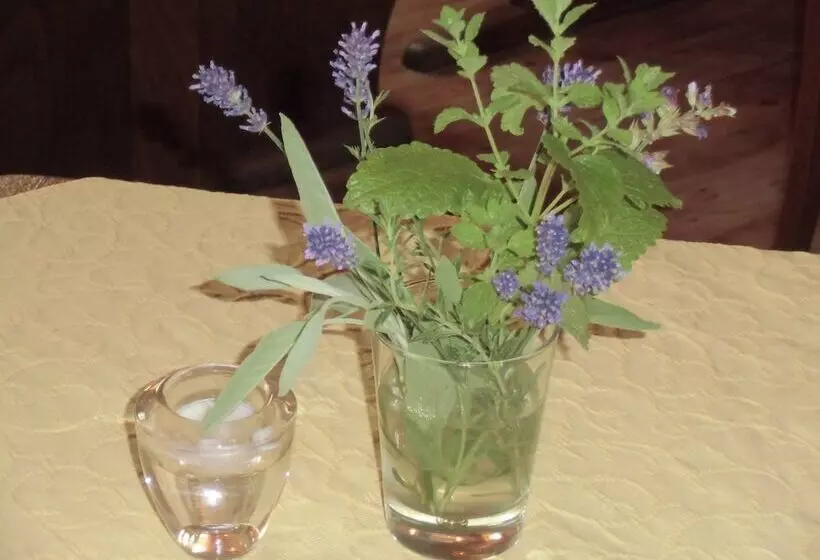 Hotel Gasthof Zum Freigericht