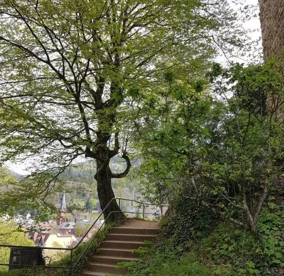 Yoga Jasmin Ehemals Hotel Eberhardt Burghardt