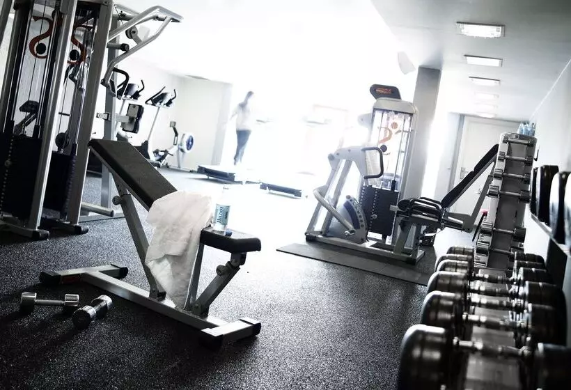 בית מלון כפרי Scandic Front