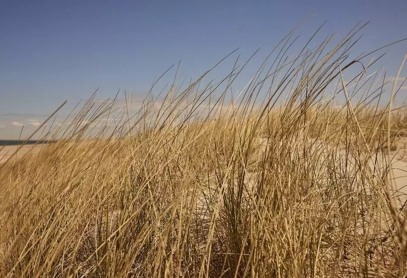 Strandhotel Klitrosen
