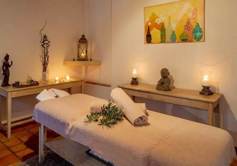 Garrigae Abbaye De Sainte Croix Hotel Et Table Provencale D Elegance