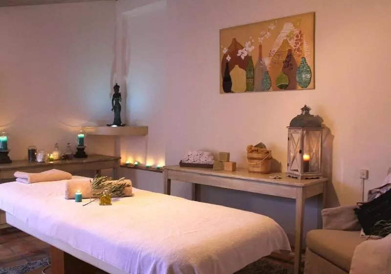 Garrigae Abbaye De Sainte Croix Hotel Et Table Provencale D Elegance