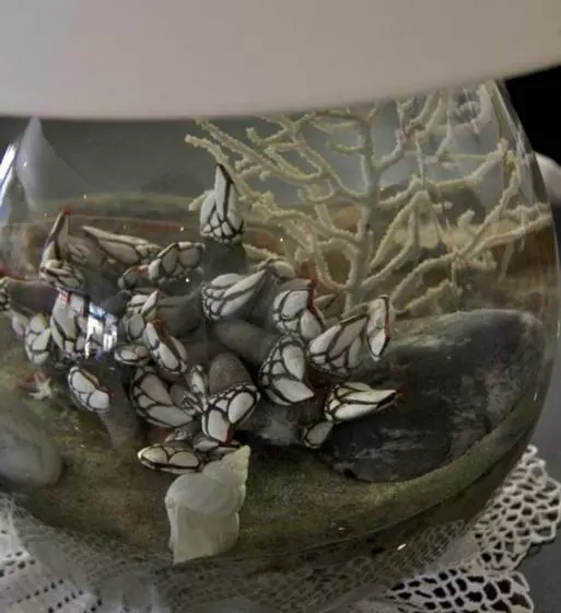 בית מלון כפרי Atlantique