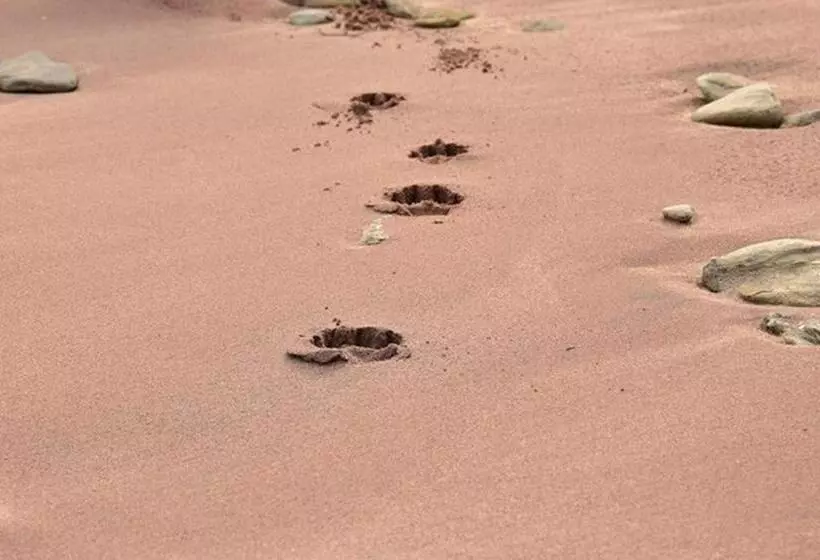 בית מלון כפרי Atlantique