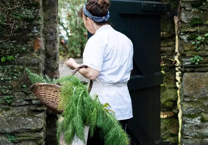 فندق Ballymaloe House