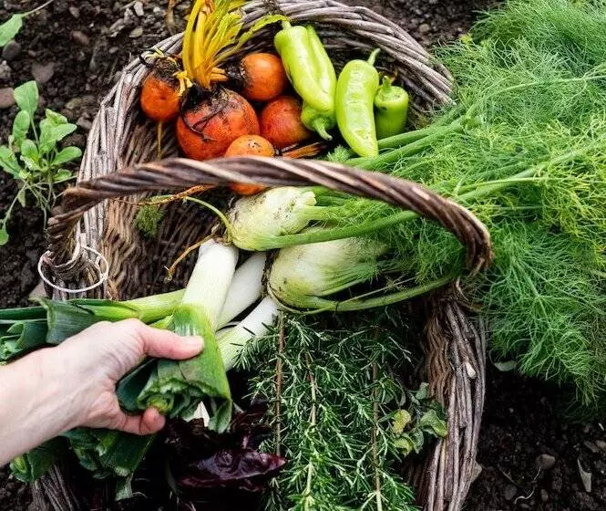 فندق Ballymaloe House