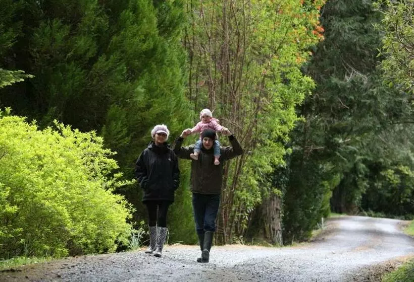 فندق Currarevagh House