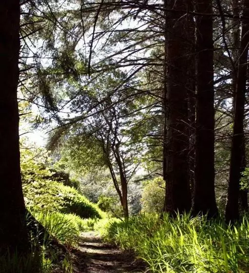 فندق Currarevagh House