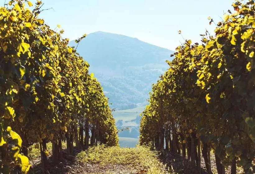 ホテル Hôtel Arcé