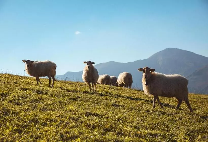 ホテル Hôtel Arcé