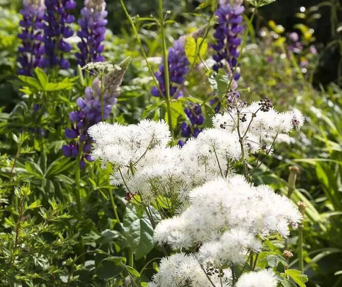 Отель Marlfield House