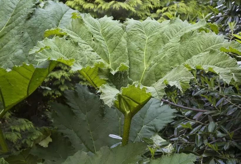 Отель Marlfield House