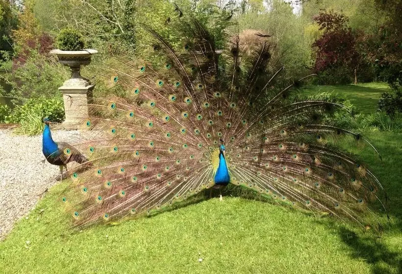 Отель Marlfield House