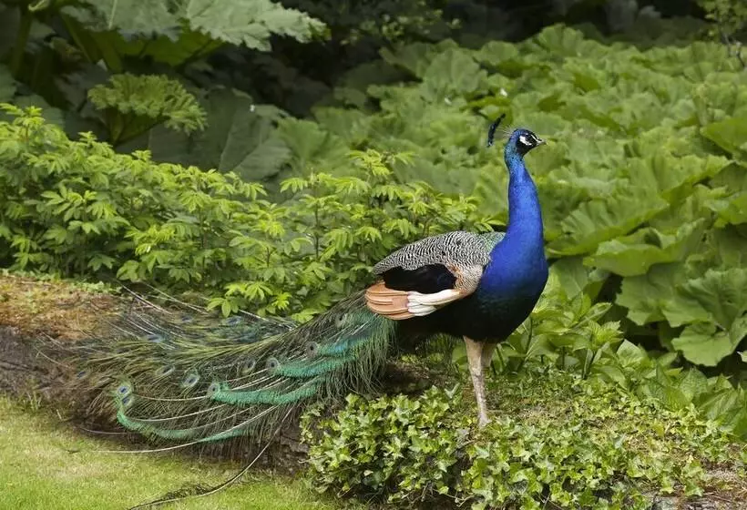 Отель Marlfield House