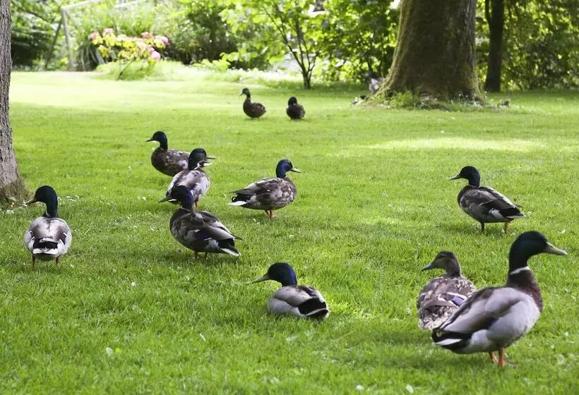 Отель Marlfield House