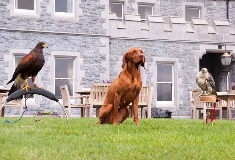 בית מלון כפרי Mount Falcon Estate