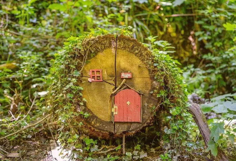 Waterford Castle Hotel & Golf Resort