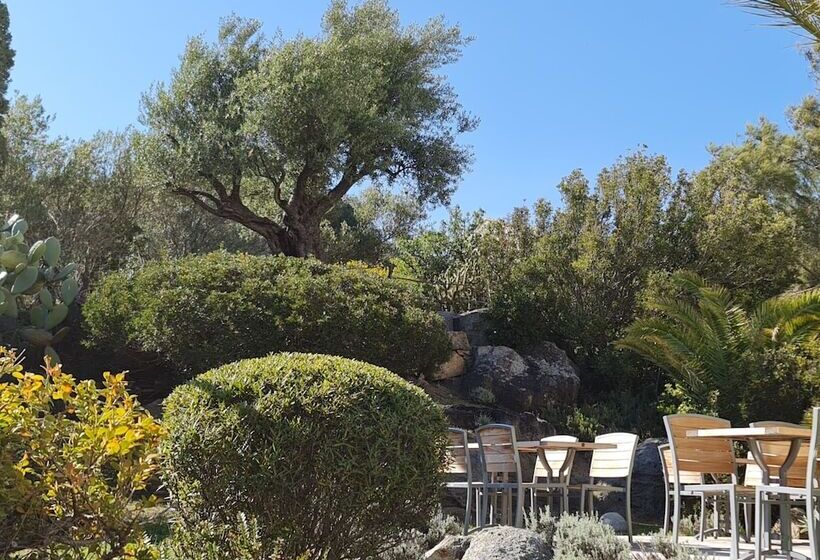 هتل Cala Di L Oru