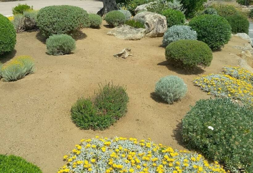 هتل Cala Di L Oru