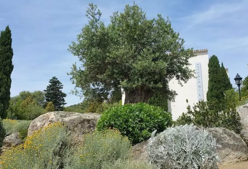 Hotel Cala Di L Oru