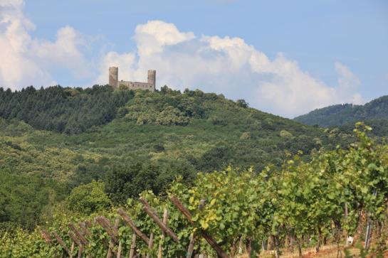 בית מלון כפרי Du Chateau d'Andlau