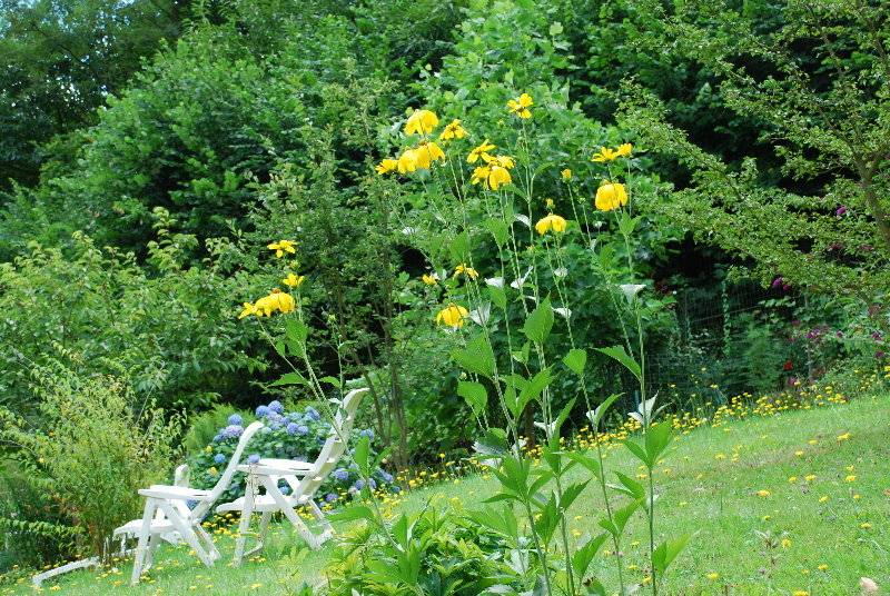 בית מלון כפרי Du Chateau d'Andlau