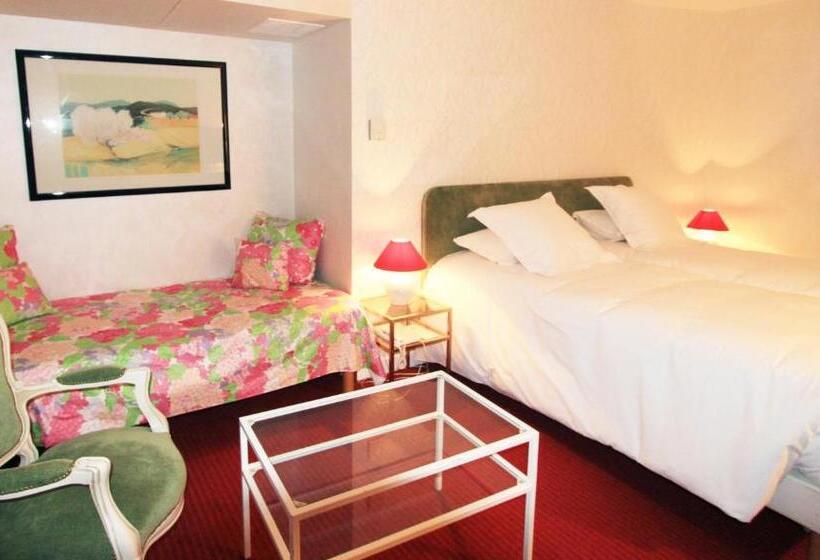 هتل Hostellerie Du Grand Saint Antoine