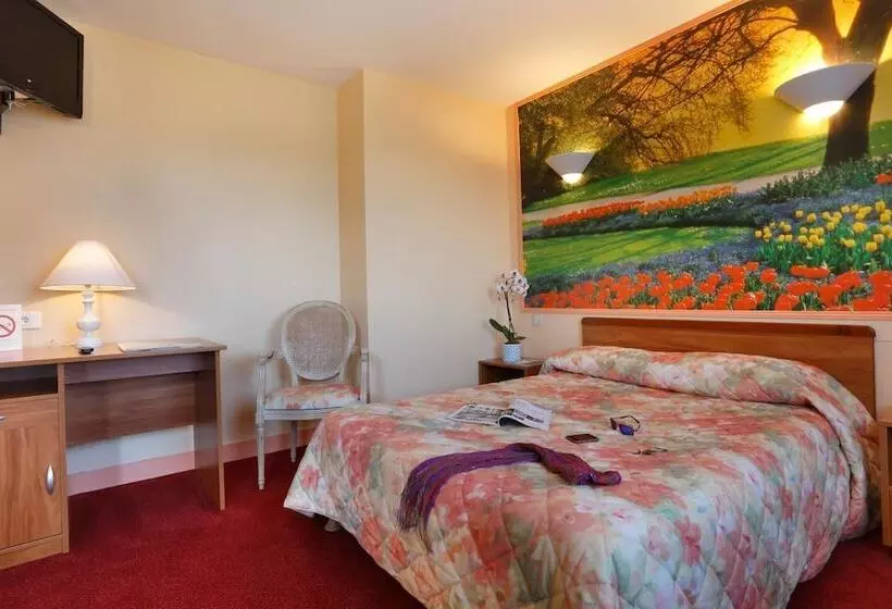 בית מלון כפרי Contact Hôtel De France Contres Beauval Cheverny