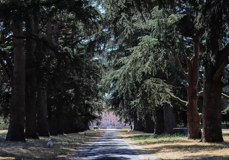 Logis Hotels   Château Saint Marcel
