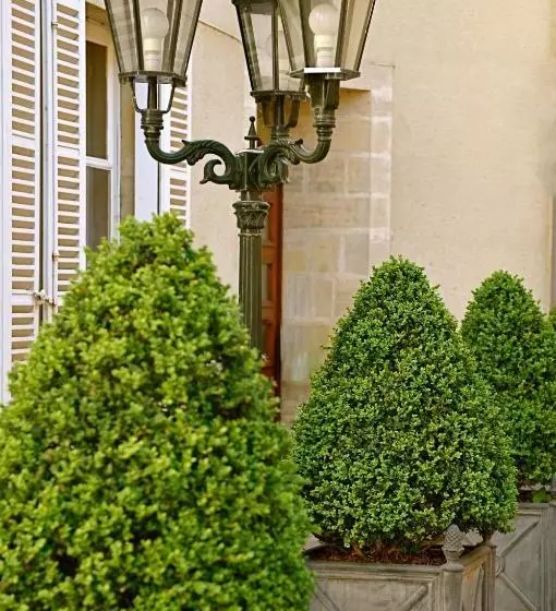 Hotel Hôtel D'argouges