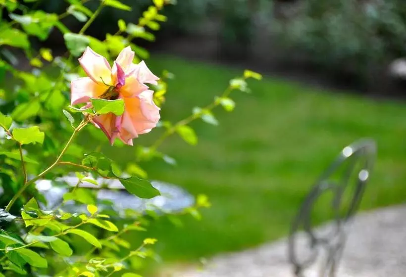 Hotel Hôtel D'argouges