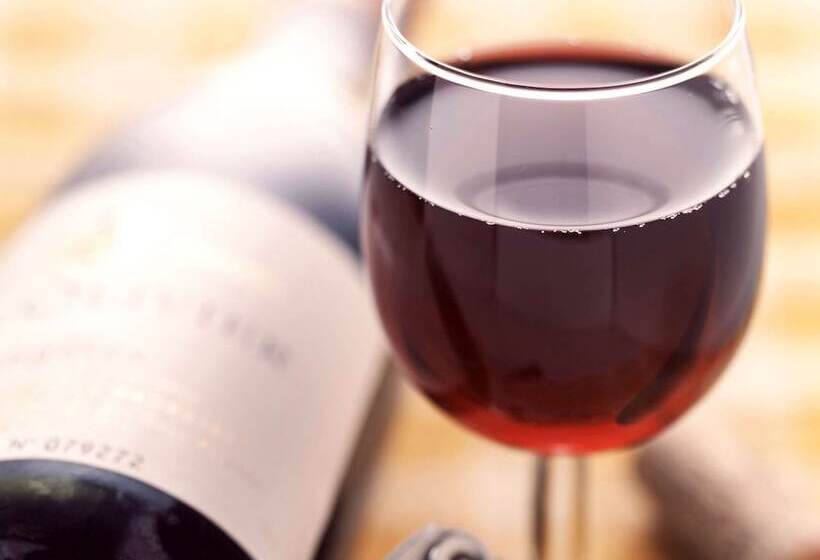 בית מלון כפרי Ibis Annecy Centre Vieille Ville