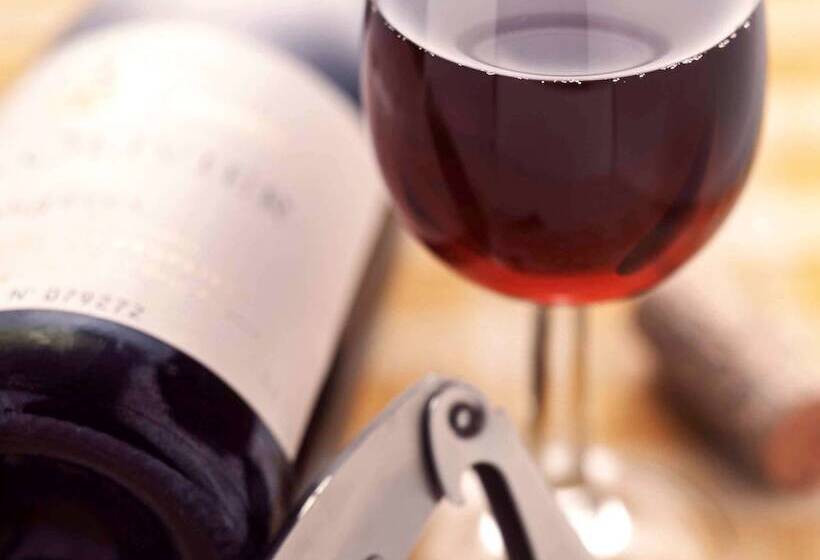 בית מלון כפרי Ibis Annecy Centre Vieille Ville