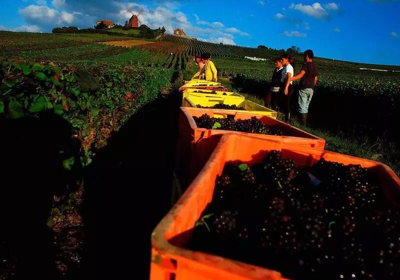 酒店 Ibis Epernay Centre Ville