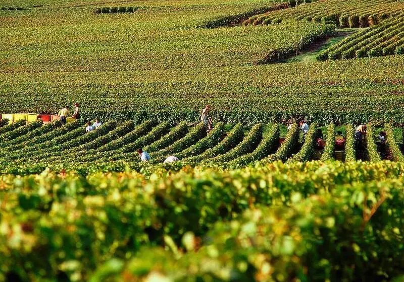 酒店 Ibis Epernay Centre Ville