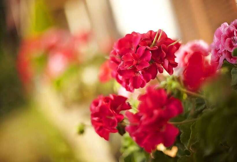 هتل La Clairière