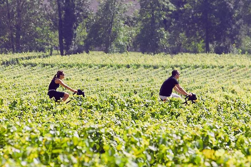 فندق Les Sources De Cheverny