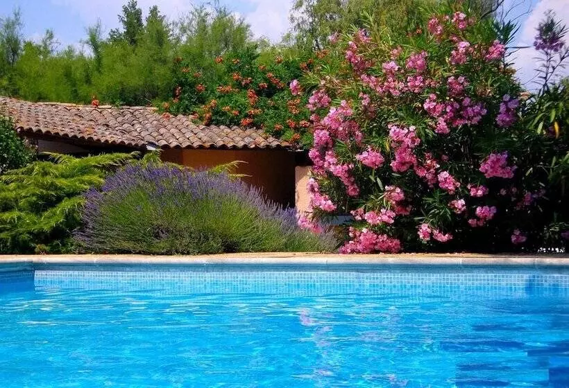 Отель Moulin De La Roque