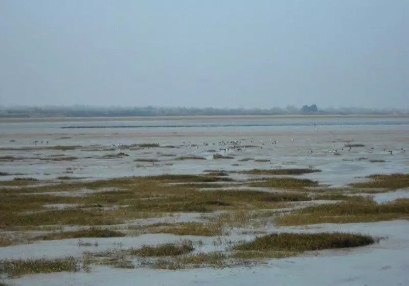 فندق Aire de la Baie