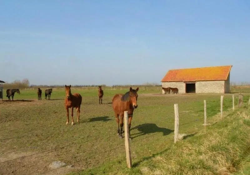 فندق Aire de la Baie