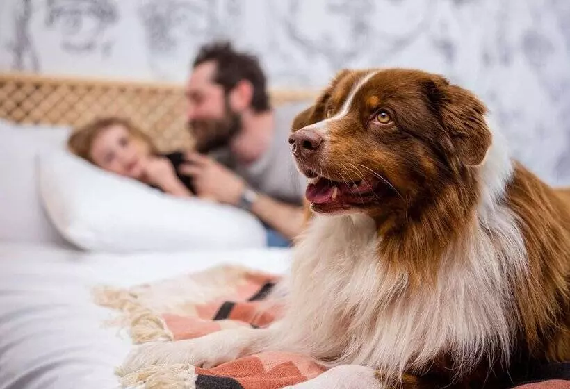 هتل Hôtel Mercure Reims Parc Des Expositions